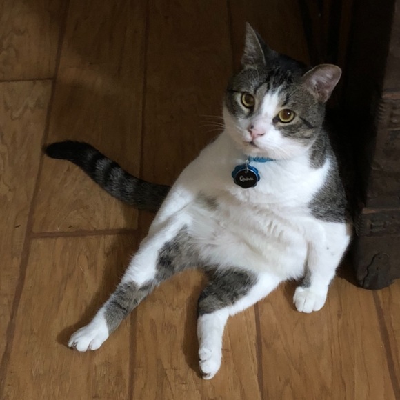 Meet your Posher, Sydne - Picture 3 of 6